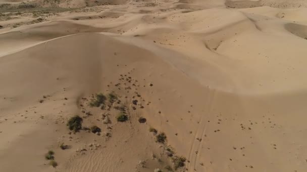 Wandelen Woestijn Woestijn Beschieten Met Een Drone — Stockvideo