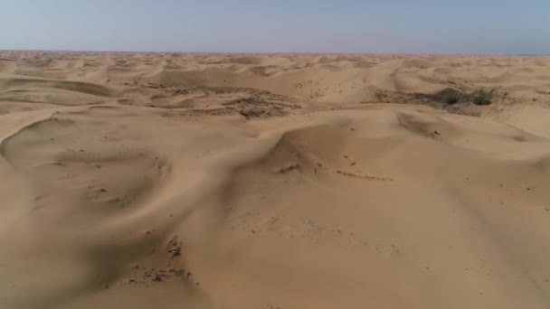 Senderismo Desierto Disparando Desierto Con Dron — Vídeos de Stock