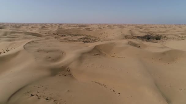 Senderismo Desierto Disparando Desierto Con Dron — Vídeos de Stock