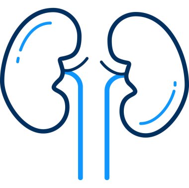 İnsan anatomisi simgesi, vektör illüstrasyonu