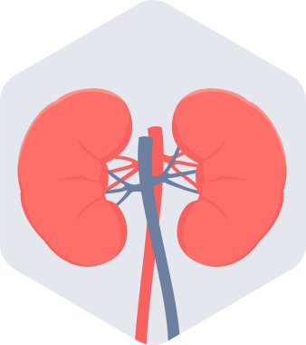 Böbrek vektör simgesi modern basit vektör çizimi 