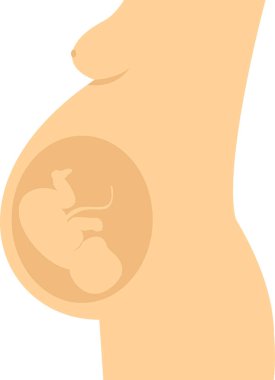 Obstetrik vektör simgesi modern basit vektör illüstrasyonu 