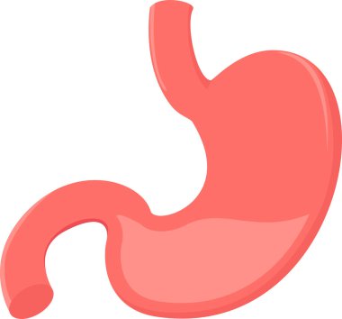 Mide vektörü simgesi modern basit vektör çizimi 