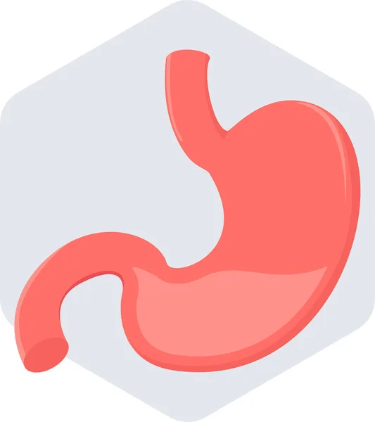 Stomach Vector Icon Modern Simple Vector Illustration — Stock Vector