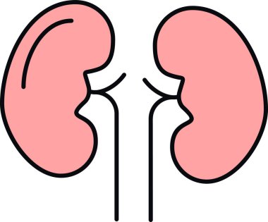 İnsan kalbi anatomisi vektör illüstrasyonu