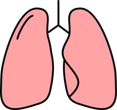 Bir insan akciğerinin gösterimi