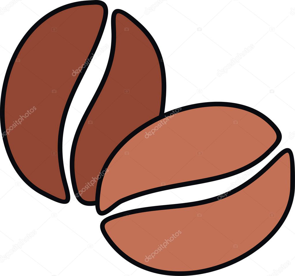 vector illustration of coffee bean