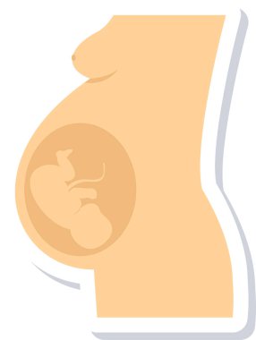 Hamile bir kadının vektör çizimi