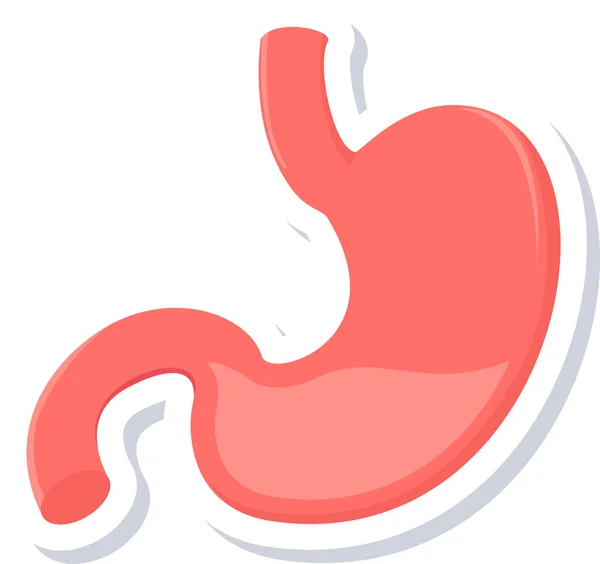 Stomach Icon Modern Simple Vector Illustration — Stock Vector