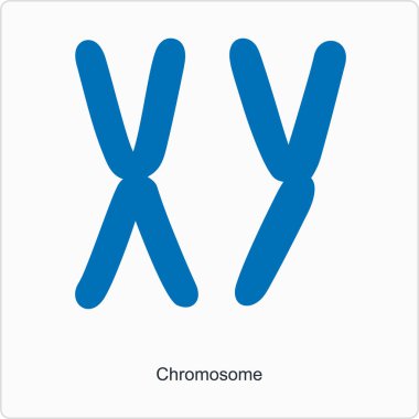 Web için bir logonun vektör illüstrasyonu