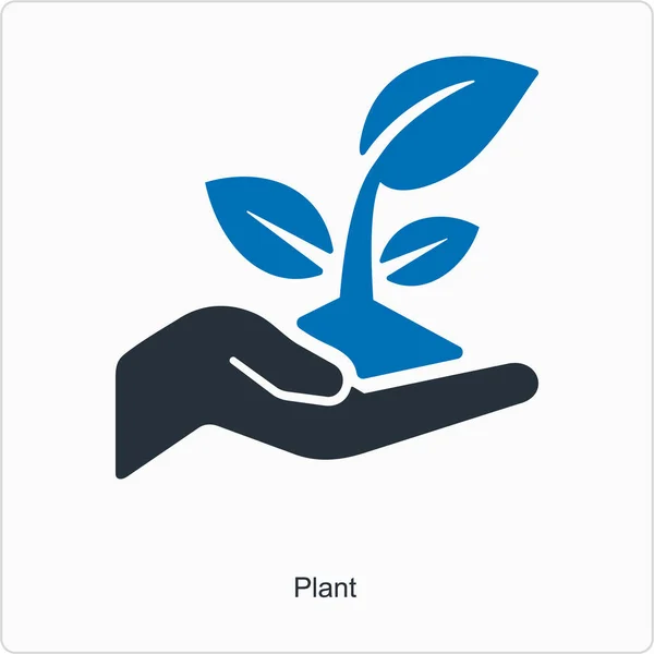 Yapraklı yeşil bir filizi tutan el.