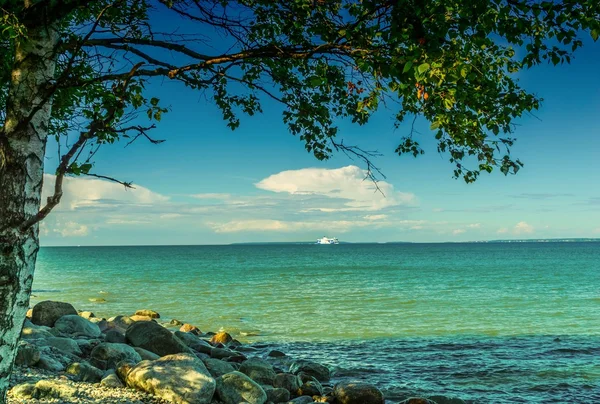Ağaç ve Deniz Manzaralı