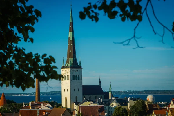 Pohled od starého města v Tallinnu. Estonsko — Stock fotografie