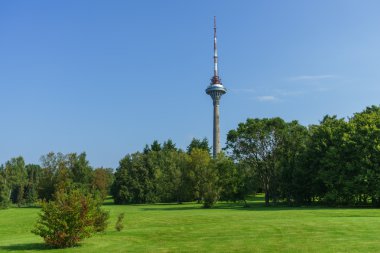 Tallinn Tv Kulesi