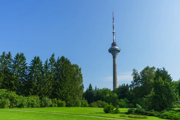 Tallinn Tv Kulesi