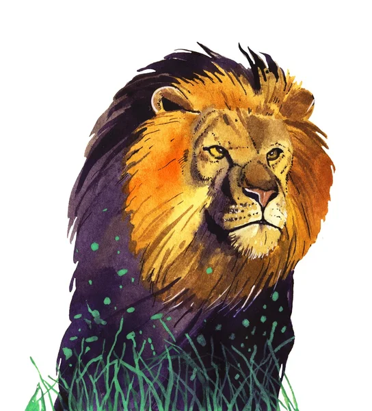 Aquarell-Löwenillustration — Stockfoto