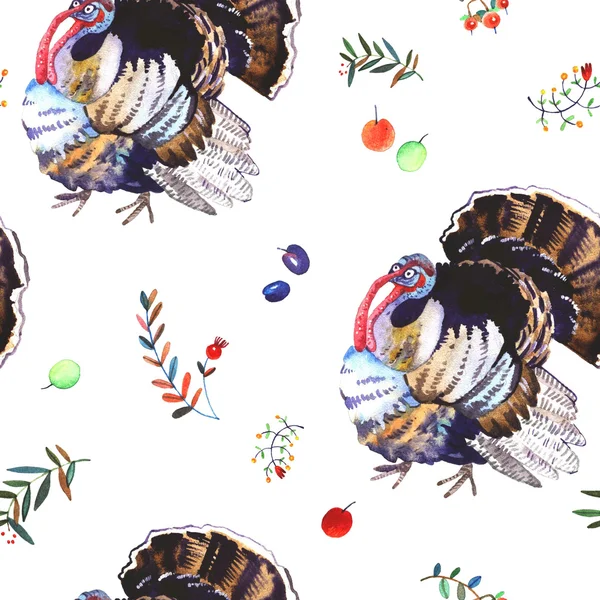 Watercolor turkey illustartion — Stock Photo, Image