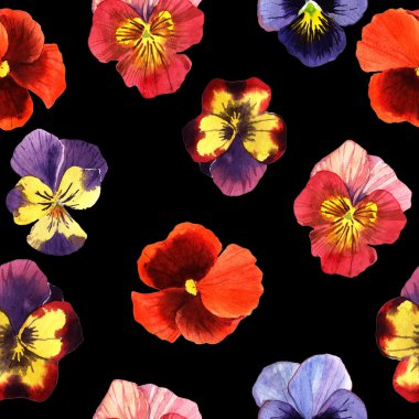 Suluboya homo çiçekler