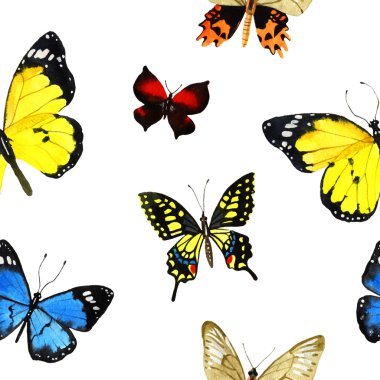 suluboya kelebek deseni