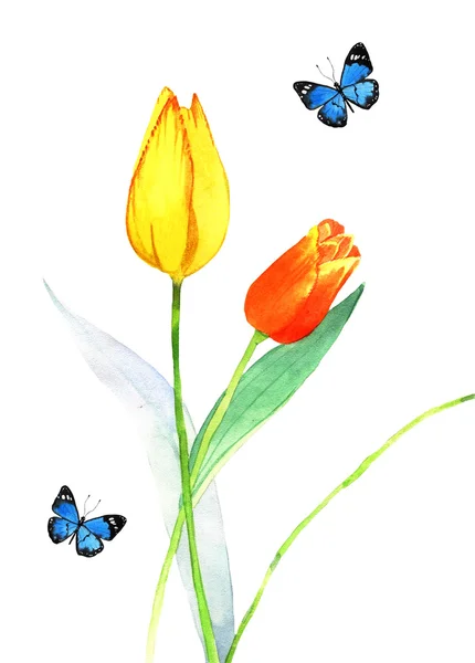 Illustration tulipes aquarelle — Photo
