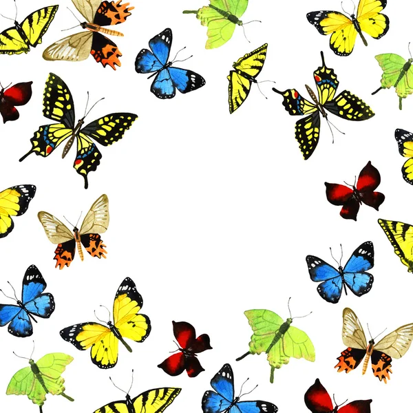 Watercolor butterfly illustration — Stock Photo, Image