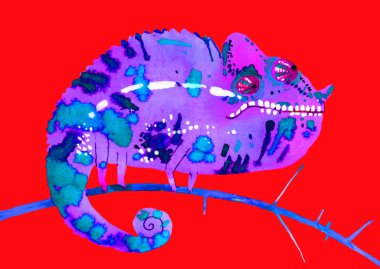 suluboya bukalemun, el boyalı çizmek