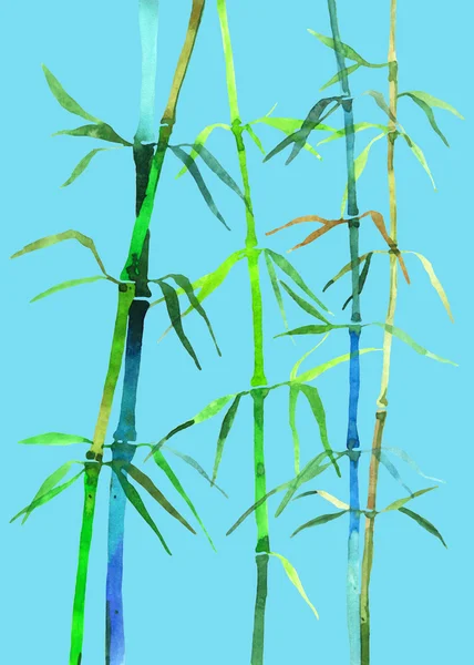 Acuarela ilustración bambú — Foto de Stock