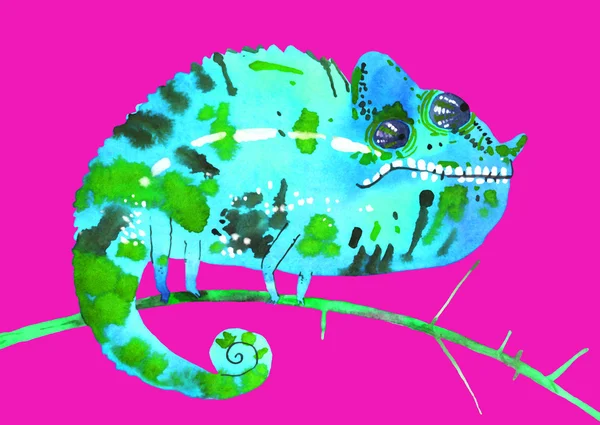 Nakreslit ručně malované akvarel chameleon, — Stock fotografie