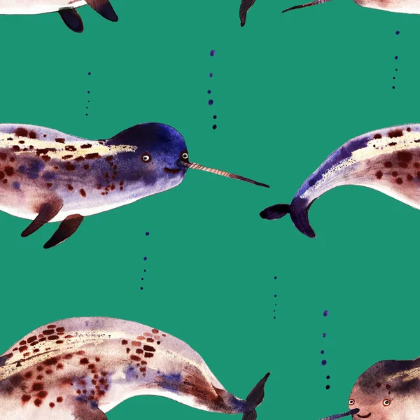 水彩的独角鲸图 — 图库照片