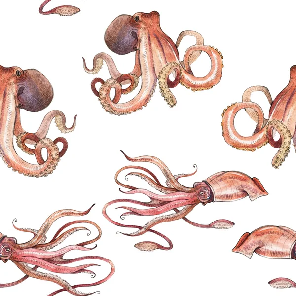 Suluboya kalamar, ahtapot