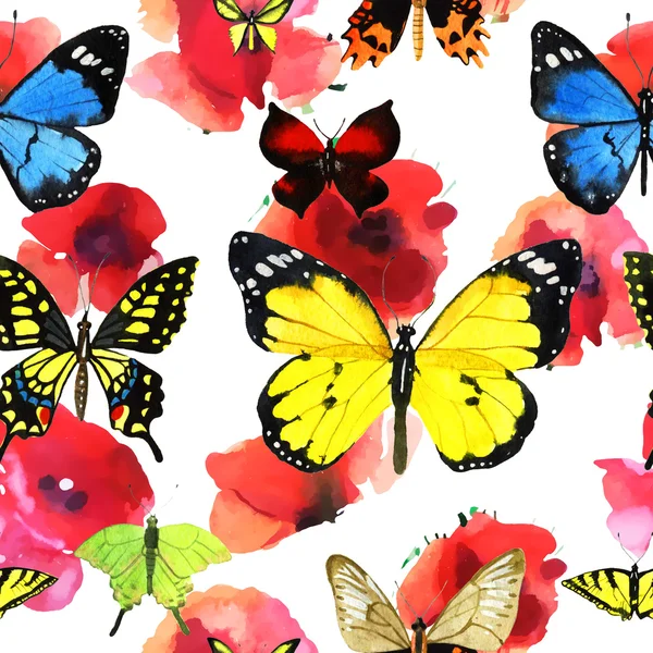 Acquerello modello farfalla — Foto Stock