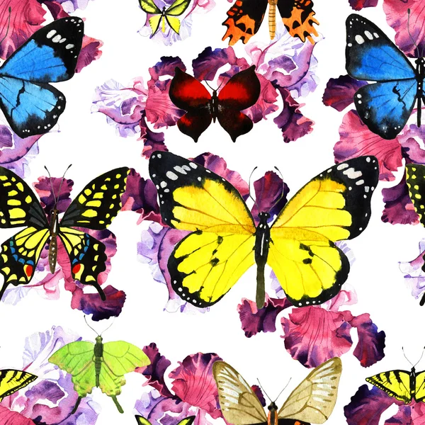 Watercolor butterfly pattern — Stock Photo, Image