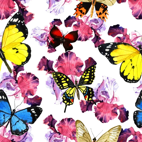 Akwarela motyl wzór — Zdjęcie stockowe