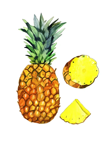 Ananas akwarela, ilustracja — Zdjęcie stockowe