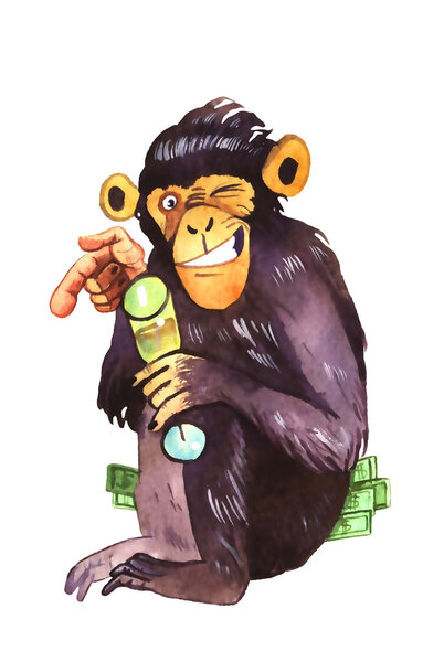 watercolor monkey illustration