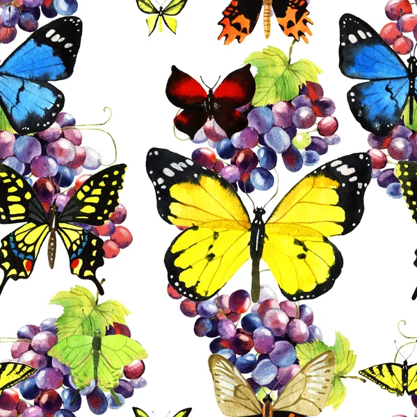 Padrão de borboleta aquarela — Fotografia de Stock