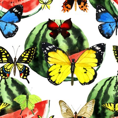 suluboya karpuz illüstrasyon