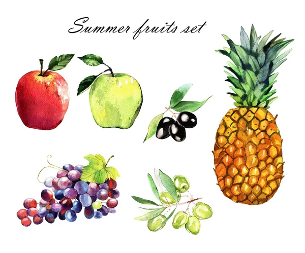 Akvarell alma, szőlő, ananász olajbogyó — Stock Fotó
