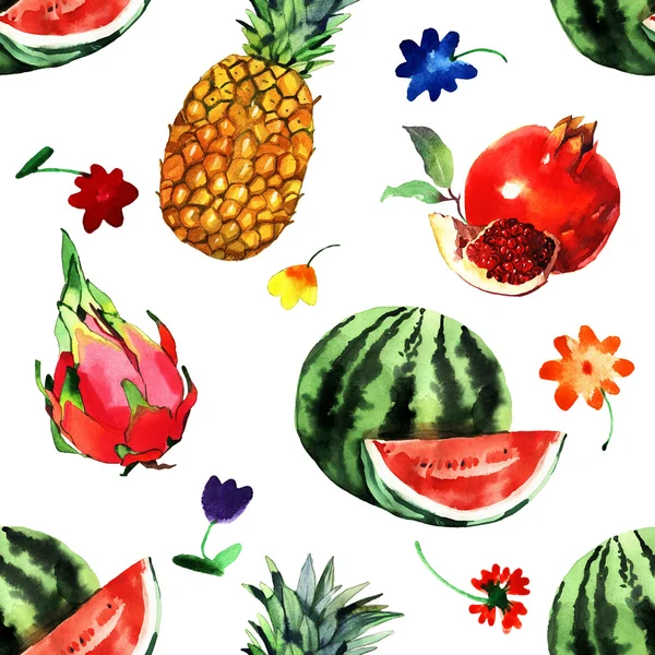 Akvarell egzotikus gyümölcsök beállítása, gránátalma, görögdinnye, ananász, sárkány szeme — Stock Fotó