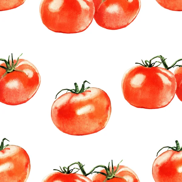 Suluboya domates çizimi — Stok fotoğraf