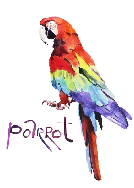 Aquarel illustratie, parrot — Stockfoto