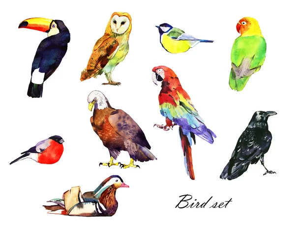 Sada akvarel pták — Stock fotografie
