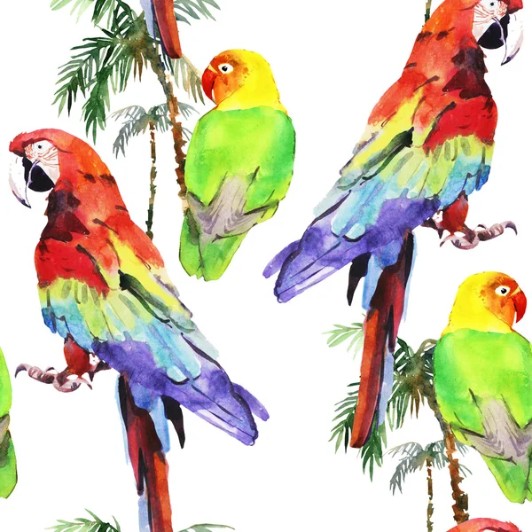 Watercolor parrot lovebird — Stock Photo, Image