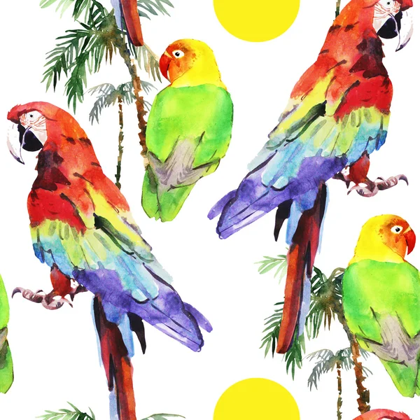 Watercolor parrot lovebird — Stock Photo, Image