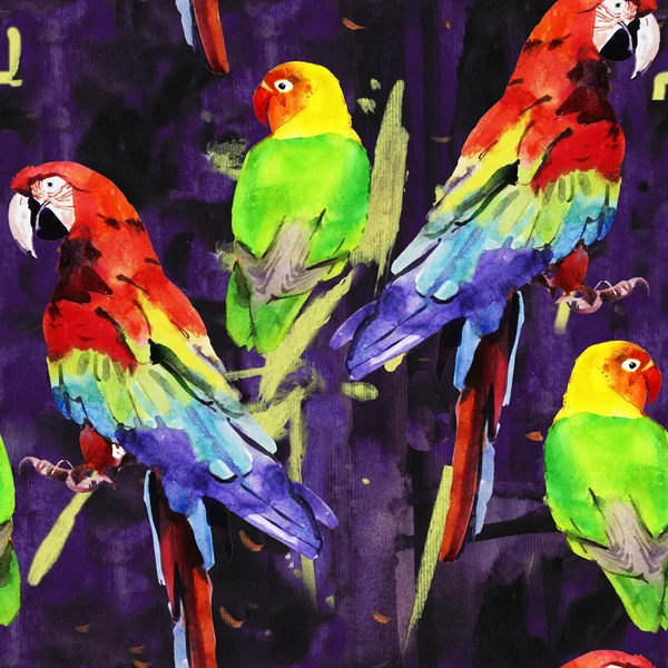 Watercolor parrot lovebird — Stock Photo, Image