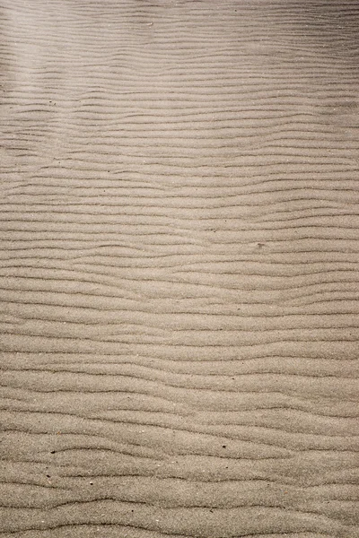 Sand background. Vertical — Stock Photo, Image