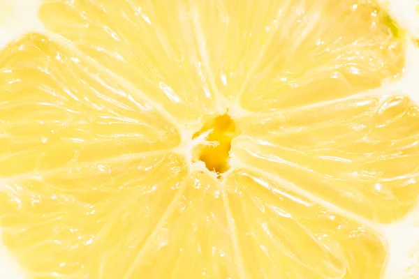 Limon. Kesit ve makro.