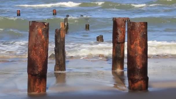 Strömmen av havet — Stockvideo