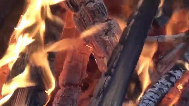Das Feuer auf die Natur — Stockvideo
