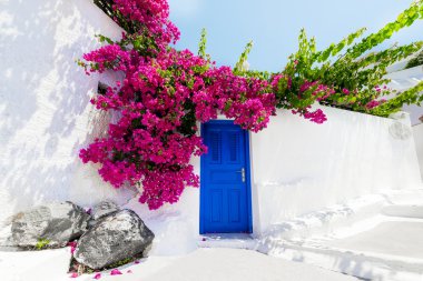 Santorini Adası'bougainvillaea ile geleneksel Yunan ev,